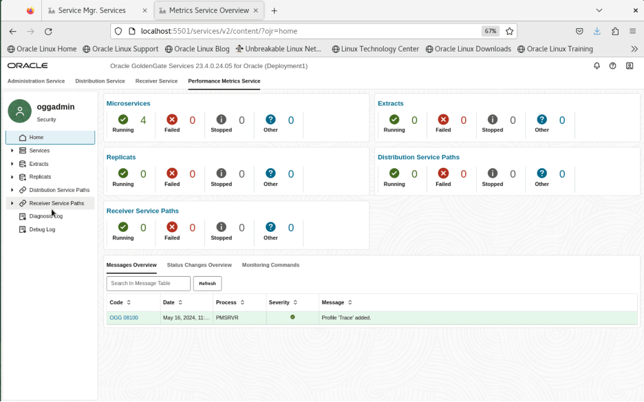 Performance Metric Service